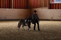 Aarau_2025