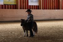 Aarau_2025