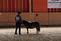 Aarau_2025