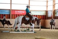 Aarau_2025