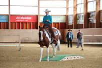 Aarau_2025