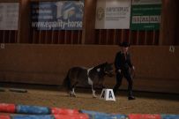 Aarau_2025
