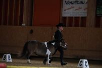 Aarau_2025