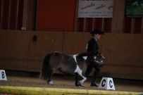 Aarau_2025
