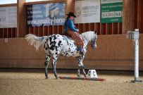 Aarau_2025