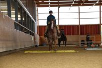 Aarau_2025