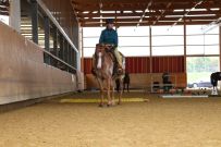 Aarau_2025