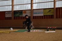Aarau_2025