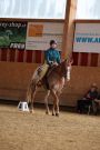 Aarau_2025
