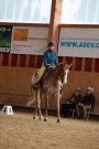 Aarau_2025