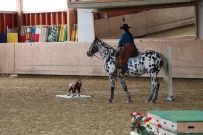 Aarau_2025