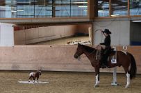 Aarau_2025