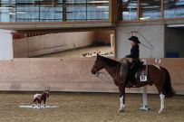 Aarau_2025