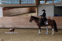 Aarau_2025