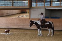 Aarau_2025