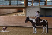 Aarau_2025