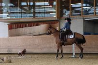 Aarau_2025