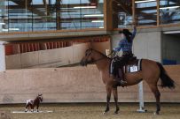 Aarau_2025