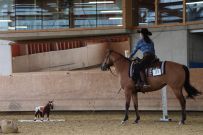 Aarau_2025