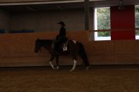 Aarau_2025