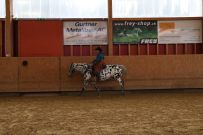Aarau_2025