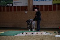 Aarau_2025
