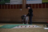 Aarau_2025
