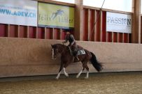 Aarau_2025