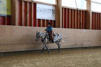 Aarau_2025