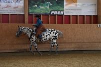 Aarau_2025