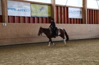 Aarau_2025