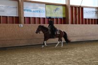 Aarau_2025