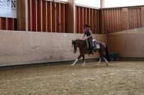 Aarau_2025