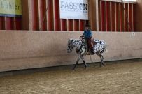 Aarau_2025