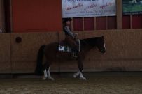 Aarau_2025