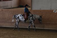 Aarau_2025
