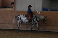 Aarau_2025