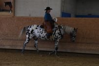 Aarau_2025