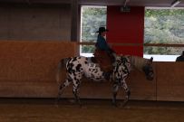 Aarau_2025