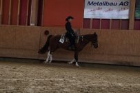 Aarau_2025
