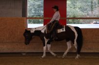 Aarau_2025