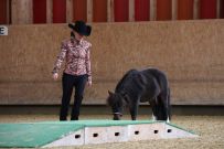 Aarau_2025