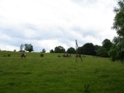 Chief_Josef_Trail_2009