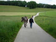 Chief_Josef_Trail_2009