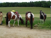 Chief_Josef_Trail_2009