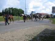 Chief_Josef_Trail_2009