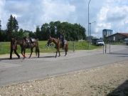 Chief_Josef_Trail_2009