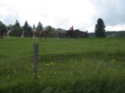 Chief_Josef_Trail_2009