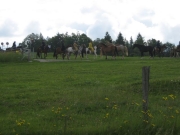Chief_Josef_Trail_2009