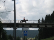 Chief_Josef_Trail_2009